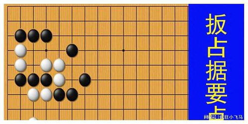 媒体点赞，中国围棋协会反制策略的智慧与勇气