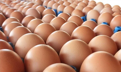 下周油价将迎来2025年第3次调整——市场动态与影响分析