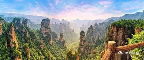 共情之路,我与申公豹的成长之旅 共情之路,我与申公豹的成长之旅