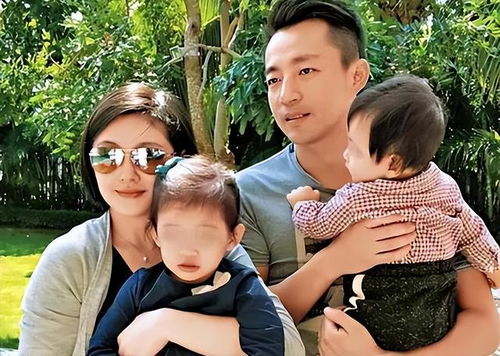 大S去世后，儿女抚养权归属之谜