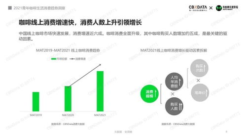 消费新图景与发展新动能，塑造未来经济新格局