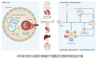 缺觉与全身炎症状态的密切关系