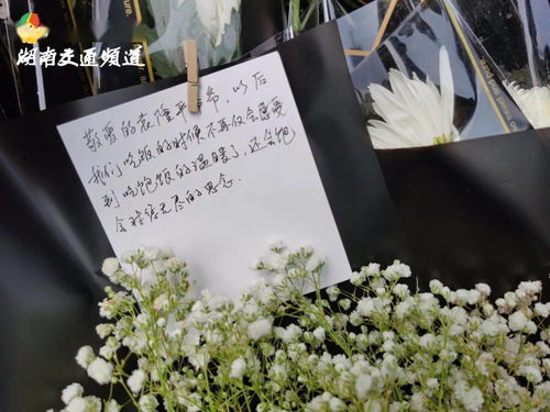 倾尽一城花，只为奠一人