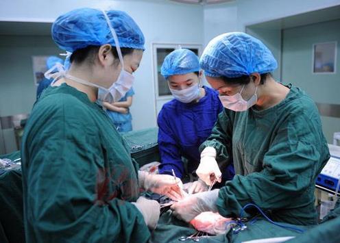 无癌被切胆囊，签名医生竟称未参与手术——医疗事故的真相与反思