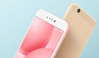 小米5C，科技与美学的完美结合