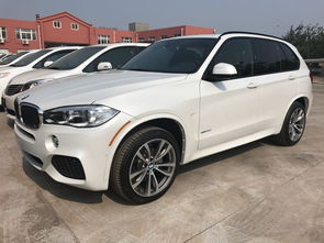 国产宝马X5报价详解，价格、配置与性能的综合考量