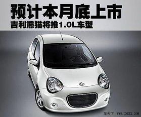 吉利熊猫车型图片展示与解析