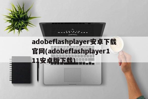 adobeflashplayer安卓下载官网(adobeflashplayer111安卓版下载)